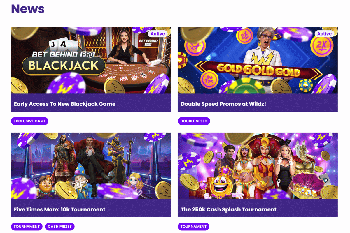wildz casino other bonuses
